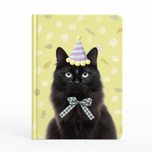 carnet-chat-noir-illustre Carnet chat noir illustre, fond blanc