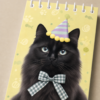 Gros plan sur la couverture illustree du carnet chat noir