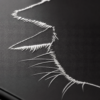 Gros plan sur le design aile de la coque chat noir