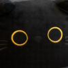 Gros plan sur la frimousse du coussin chat noir