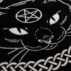 Gros plan sur la matiere du tapis chat noir