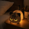 Veilleuse chat noir allumee sur une table de chevet