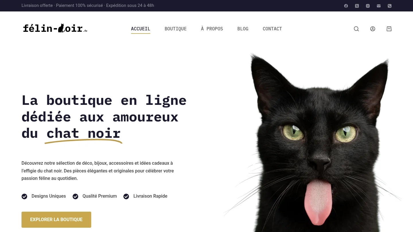 Capture de la page d’accueil de Félin Noir